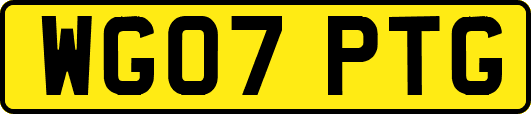 WG07PTG