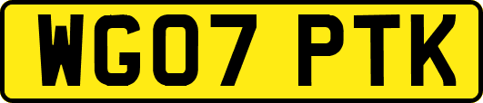 WG07PTK
