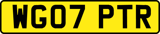 WG07PTR