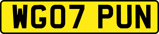WG07PUN