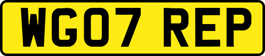 WG07REP