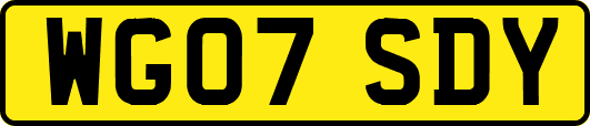 WG07SDY