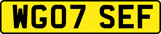 WG07SEF
