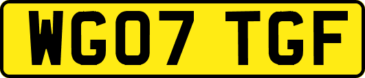 WG07TGF