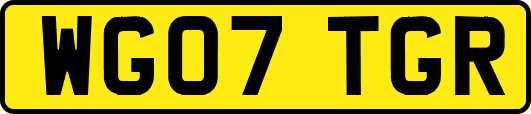 WG07TGR