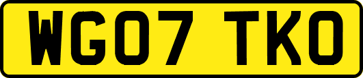 WG07TKO