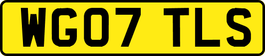 WG07TLS