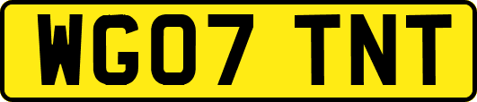 WG07TNT