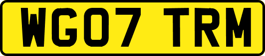 WG07TRM