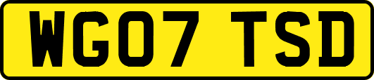 WG07TSD