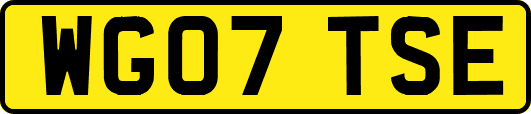 WG07TSE