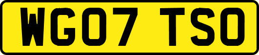 WG07TSO