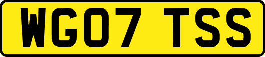WG07TSS