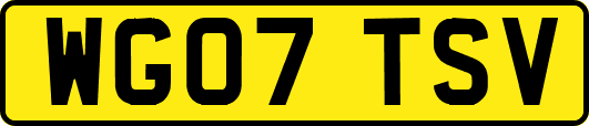 WG07TSV