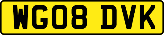 WG08DVK