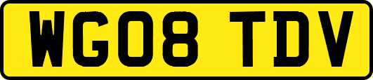 WG08TDV