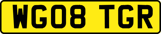 WG08TGR