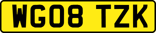 WG08TZK