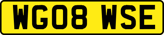 WG08WSE