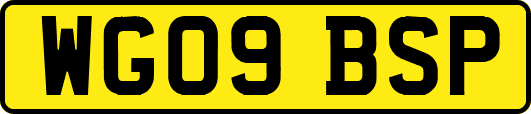 WG09BSP