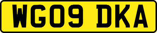 WG09DKA