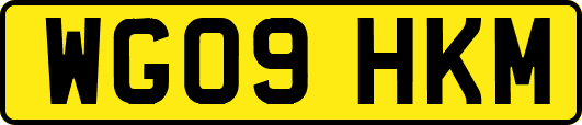WG09HKM