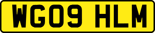 WG09HLM