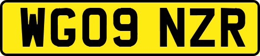 WG09NZR