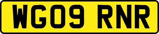 WG09RNR