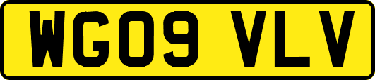 WG09VLV