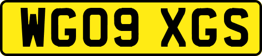 WG09XGS