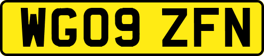WG09ZFN