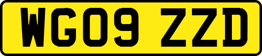 WG09ZZD