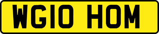 WG10HOM
