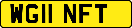 WG11NFT