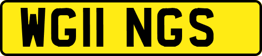 WG11NGS