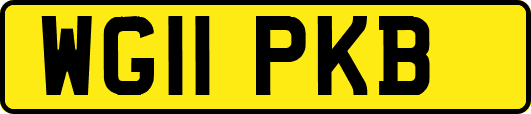 WG11PKB
