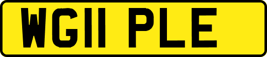 WG11PLE