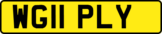 WG11PLY