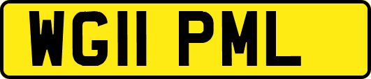 WG11PML