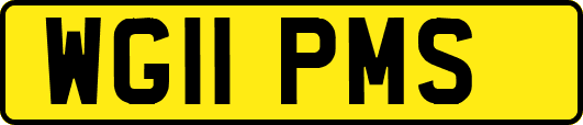 WG11PMS