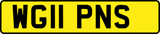 WG11PNS