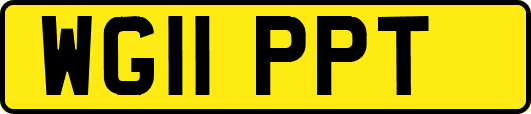 WG11PPT