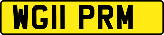 WG11PRM