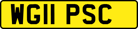 WG11PSC