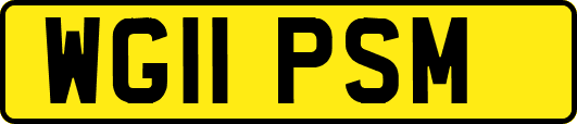 WG11PSM