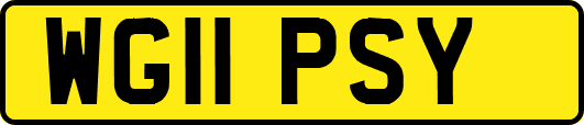 WG11PSY