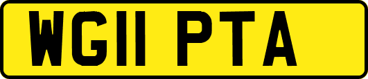 WG11PTA