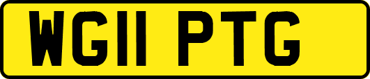 WG11PTG
