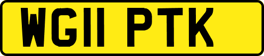 WG11PTK